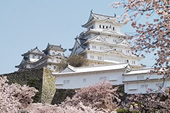 Himeji Castle (World heritage)